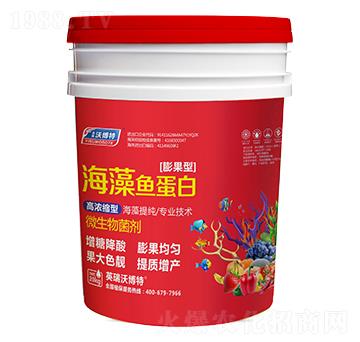 �����~���ף�����ͣ�-Ӣ���ֲ���