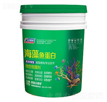 �����~(y��)���ף�ͨ���ͣ�-Ӣ���ֲ���