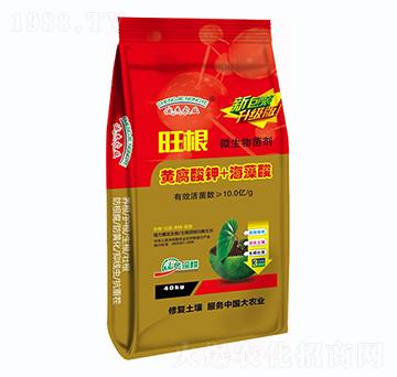 �S�����+������-����-�G�����r