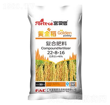 �ͺϷ���22-8-16-�S��-����˼
