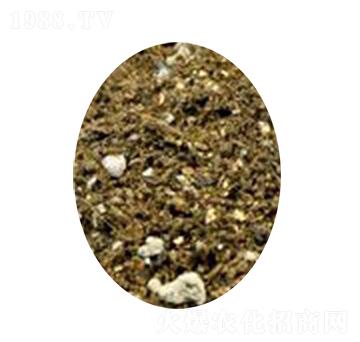 ������ľ�I(y��ng)�B(y��ng)��-�s�S����