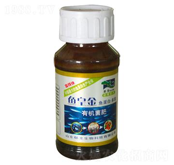 魚(yú)皇金有機(jī)菌肥-郁蘢生物