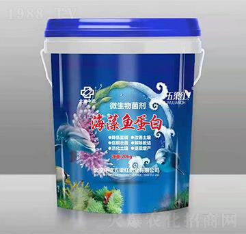 海藻魚蛋白-五梁紅