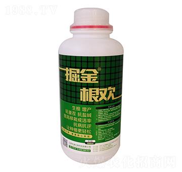 掘金根歡-禾迪