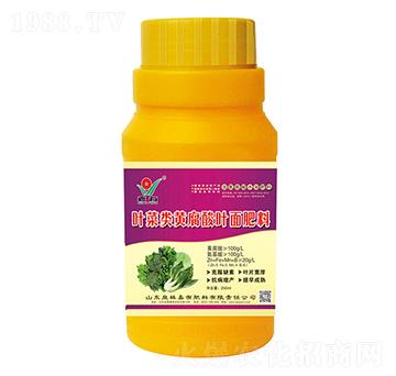 ƿ�b�~����S�����~�����-��Ȫ��