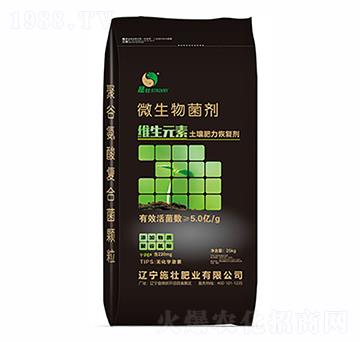 微生物菌劑-微生元素土壤肥力恢復(fù)劑-施壯肥業(yè)