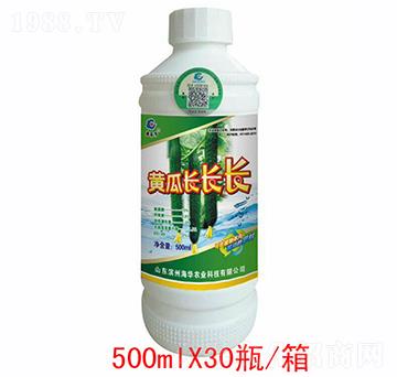 黃瓜長長長-海華農(nóng)業(yè)