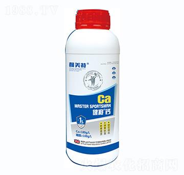 �������}-������