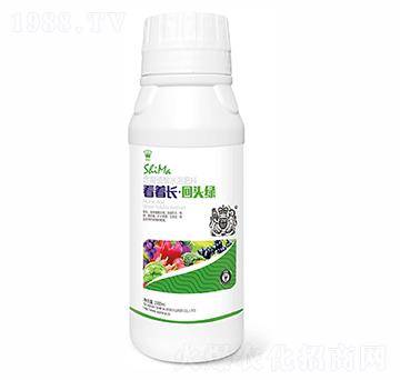 �����L(zh��ng)���^�G1000ml-�{�R�ʘI(y��)