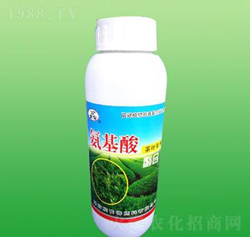 ���~���ð��������Ϸ�-ʩ����