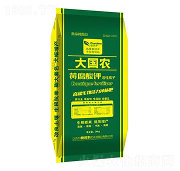 大國農(nóng)黃腐酸鉀-普潤豐