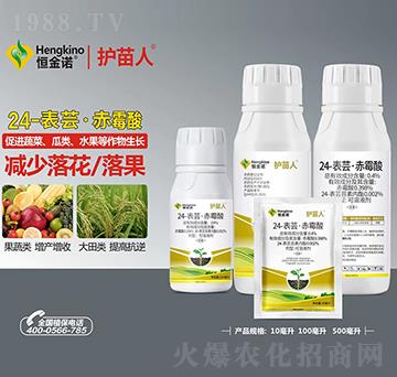 24-表蕓·赤霉酸可溶液劑-護苗人-恒金諾