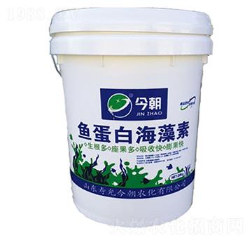 �~(y��)���׺�����-���r(n��ng)��