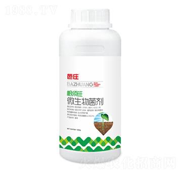 根須旺微生物菌劑-華大農業(yè)