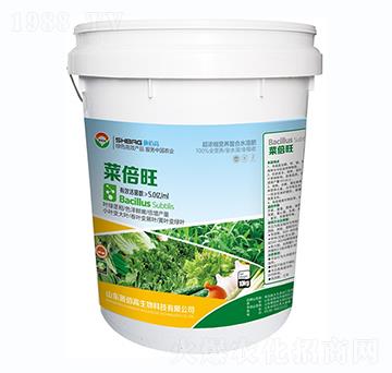 �˱���-ʩ�۸�