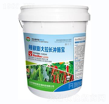 ����������L(zh��ng)�_ʩ��-ʩ�۸�