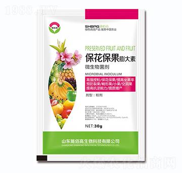 ΢�������-�������������-ʩ�۸�