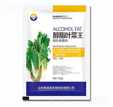 ΢�������-��֬�~����-ʩ�۸�