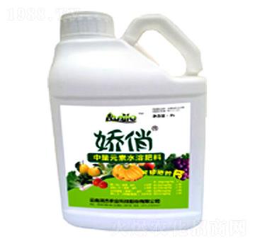 嬌俏中量元素水溶肥-潤(rùn)杰農(nóng)科