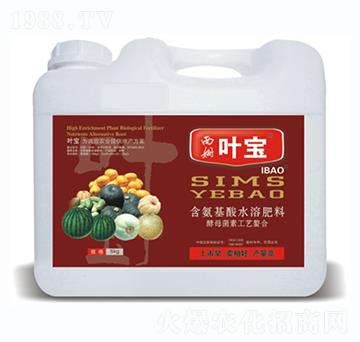 瓜類專用含氨基酸水溶肥料-寶葉植物