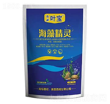 海藻精靈-寶葉植物