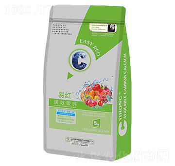 ̼�}-�׼t-�º���