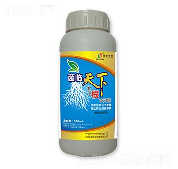 ΢�������-���R����-