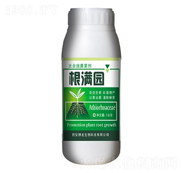 ��ϼ�(x��)������-���M(m��n)�@-