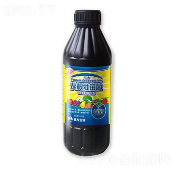 �l(f��)�������-��������