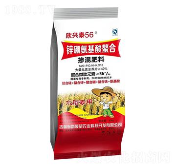 摻混肥料-欣興泰56-新展望