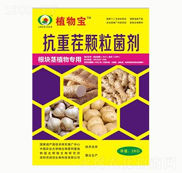 抗重茬顆粒菌劑-潤田生物