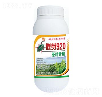 ���~���ô�ѿ920-��