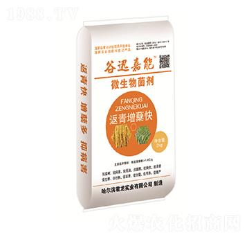 水稻返青增蘗快-微生物菌劑-君龍實(shí)業(yè)