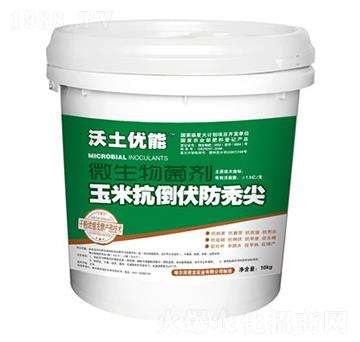 沃土優(yōu)能菌劑-玉米防禿尖抗倒伏-君龍實(shí)業(yè)