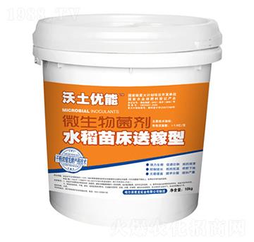 沃土優(yōu)能菌劑-水稻苗床送稼型-君龍實(shí)業(yè)