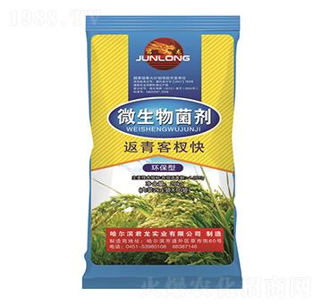 20kg微生物菌劑-返青客杈快（水稻配方）-君龍實(shí)業(yè)