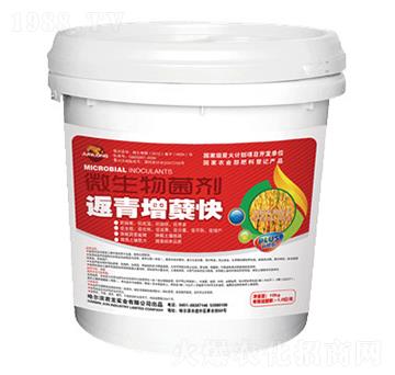 微生物菌劑-返青增蘗快-君龍實(shí)業(yè)