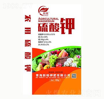 �����-�¸�