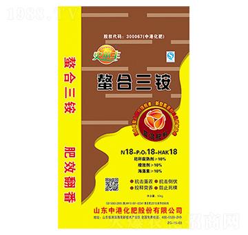 �������@�ͻ��-�иۻ���