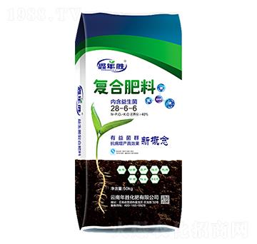 ��(f��)�Ϸ���28-6-6-�����-��ٻ���