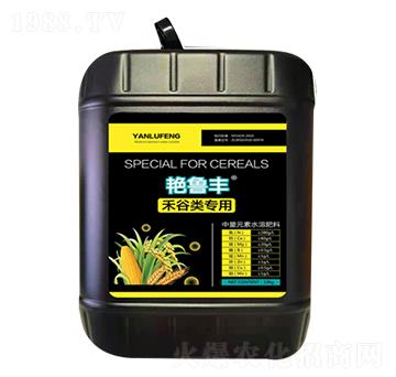 �G���S���̹���ã�-���_����