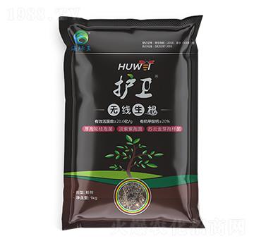 護(hù)衛(wèi)·無線生根-海綠王