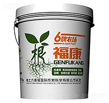 ������-������