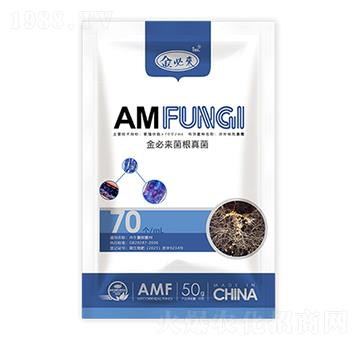 �������-��؁�����