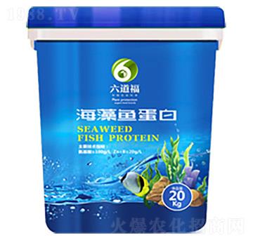 �����~(y��)����-������