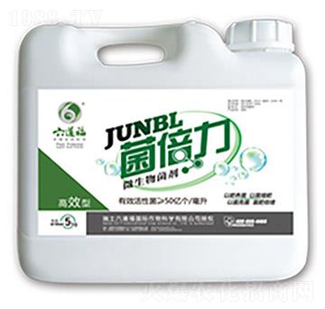 ΢�������-������-��