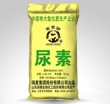 ����-�|ƽ��-����