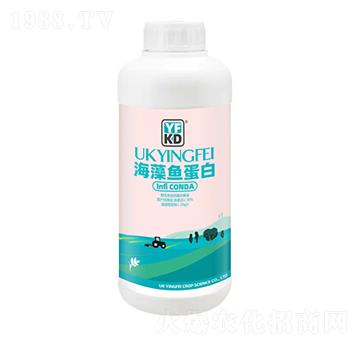 海藻魚(yú)蛋白-德源豐錦