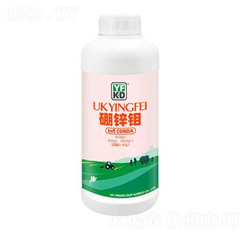 硼鋅鉬-德源豐錦