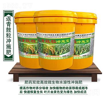 ��������_ʩ��-��������